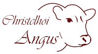 Logo Kurt & Traute Clausen