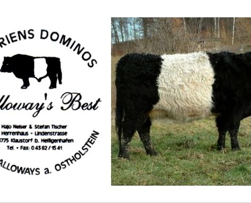 Galloways Best Klausdorf