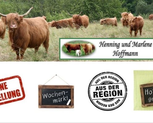 Highland Cattle Direktvermarkter