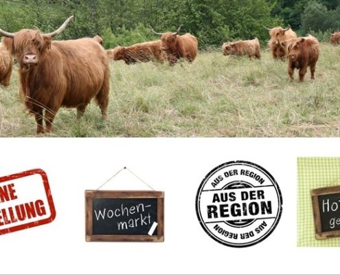 Highland Cattle Direktvermarkter