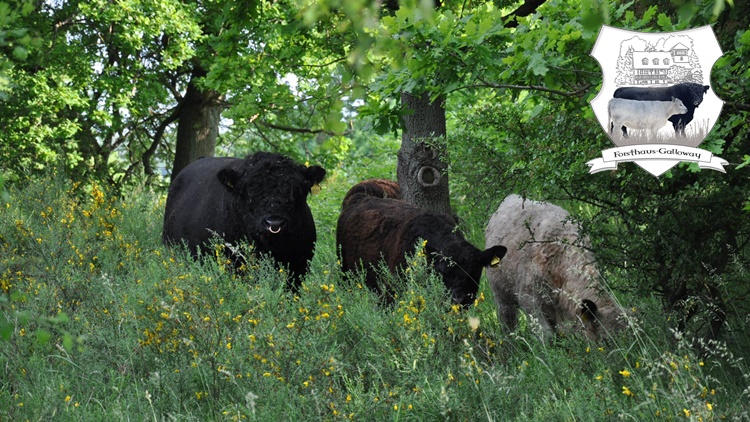 Forsthaus Galloway Lars Lorenzen