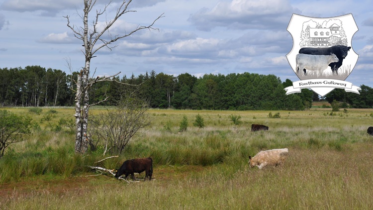 Forsthaus Galloway Lars Lorenzen