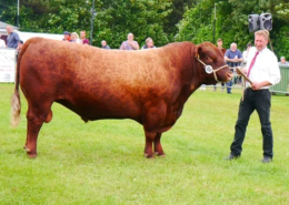 Interbreed-Reservesieger „AZH Gust“ von André Martens