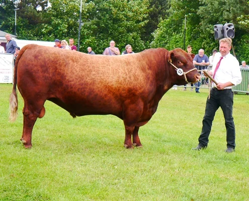 Interbreed-Reservesieger „AZH Gust“ von André Martens