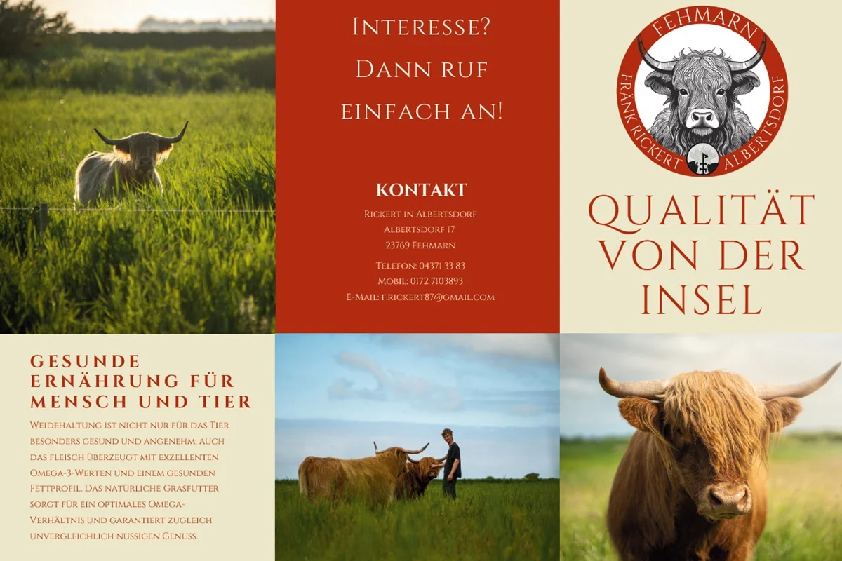 Fränk Rickert, Albertsdorf 17 23769 Fehmarn, Highland-Cattle