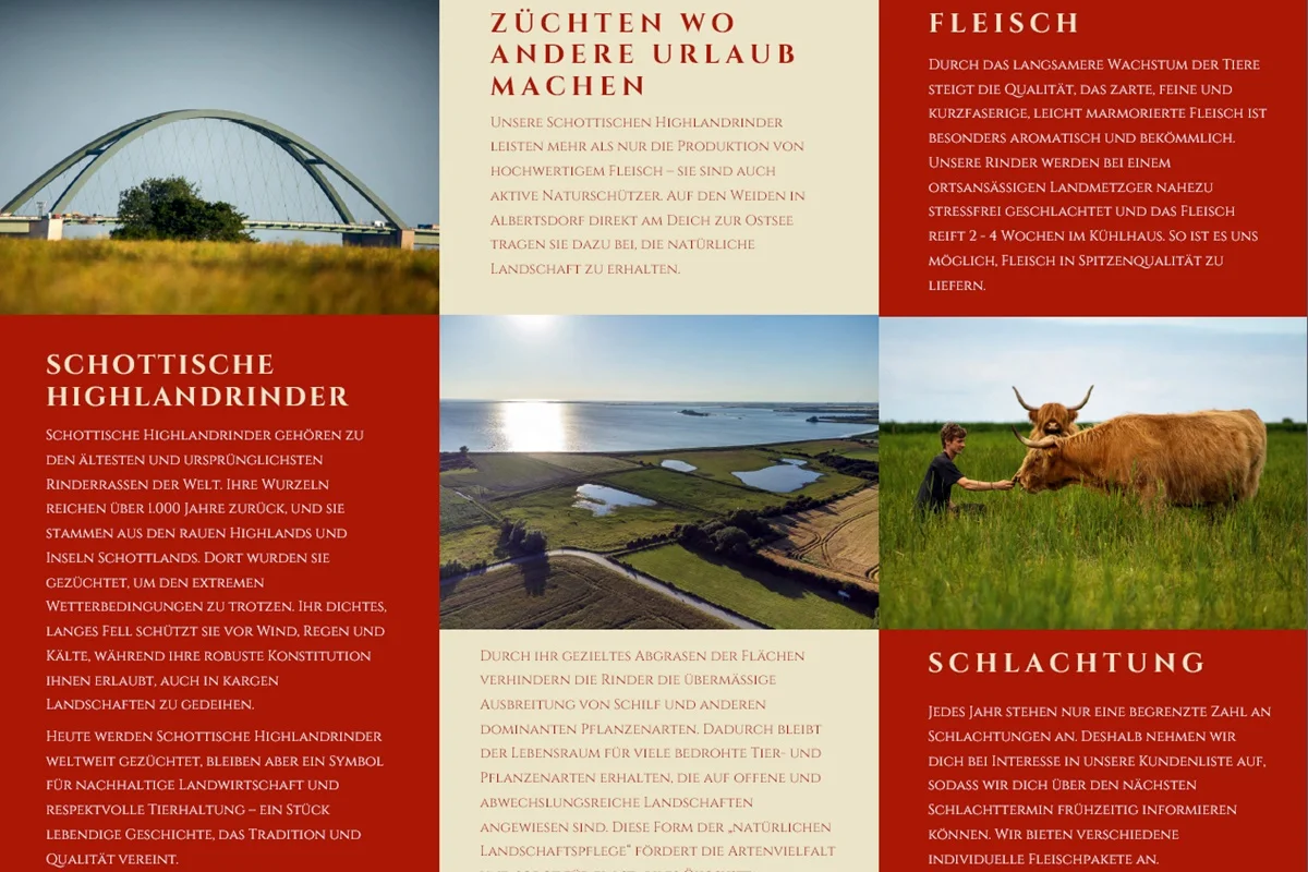 Fränk Rickert, Albertsdorf 17 23769 Fehmarn, Highland-Cattle